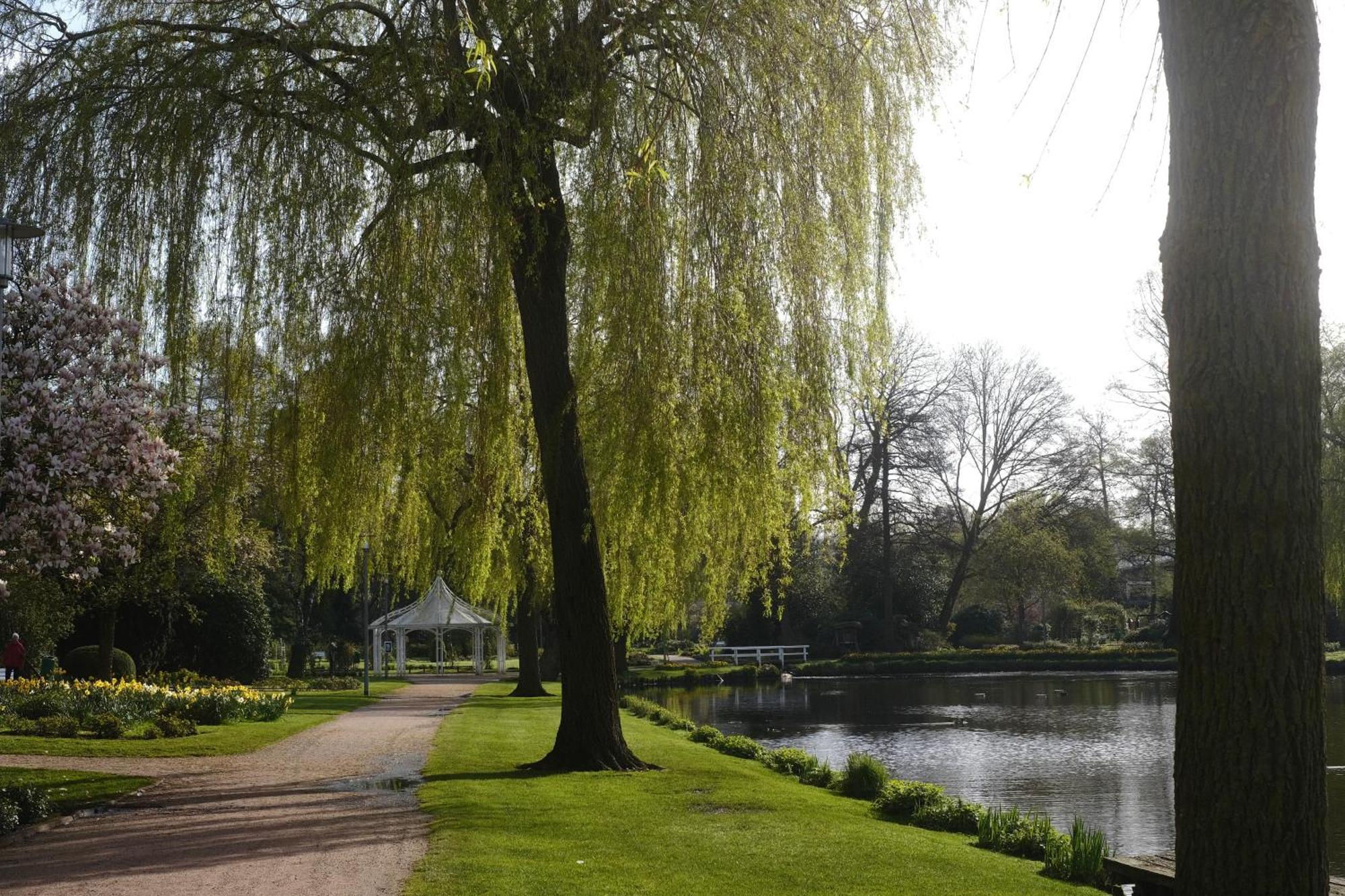 Parkhotel - Rosarium Uetersen Exteriér fotografie